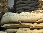 Kaffeproducenter. Skønt Kenyanerne har kaffe i sækkevis, foretrækker de te. 