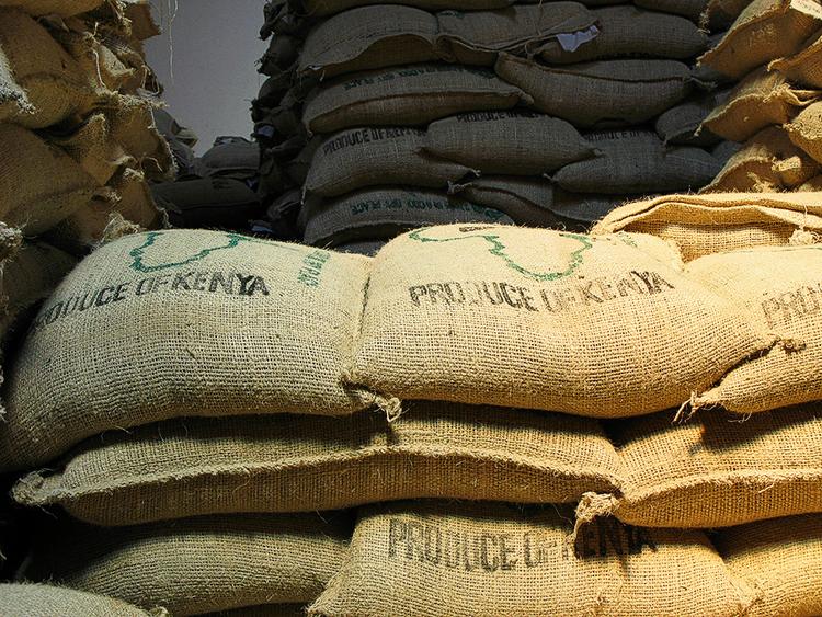 Kaffeproducenter. Skønt Kenyanerne har kaffe i sækkevis, foretrækker de te. 