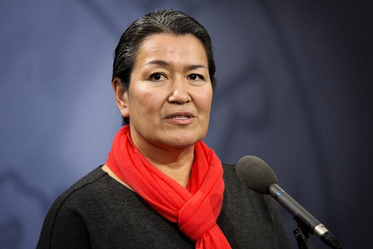 En orientering fra revisionsudvalget viste i fredags, at Aleqa Hammond har brugt 106.363,27 kroner fra selvstyrets kasse til blandt andet private flybilletter og hoteludgifter til Hammonds familie. 