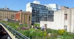 Succes. Den eleverede park The High Line i New York er blevet et trækplaster for turister og et populært pusterum for lokale. 