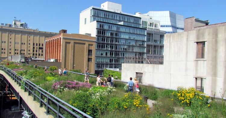 Succes. Den eleverede park The High Line i New York er blevet et trækplaster for turister og et populært pusterum for lokale. 