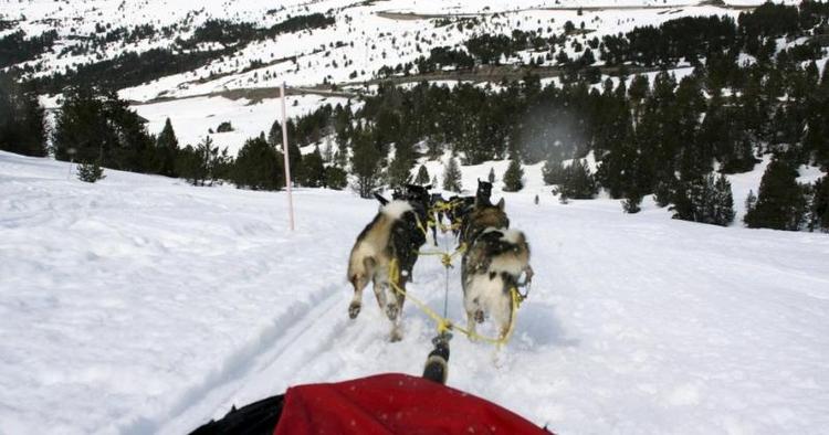PISTEPAUSE. Lad et kobbel hunde trække dig af sted på en slædetur, eller tag en kælketur i en badering. Det er sjovt at hvirvle af sted, og så er det luksus at have en lift, når man skal kælke. 