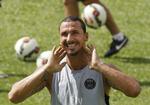 hælskade. Zlatan Ibrahimovic vil ikke spille en almindelig landskamp på en smertestillende sprøjte. 