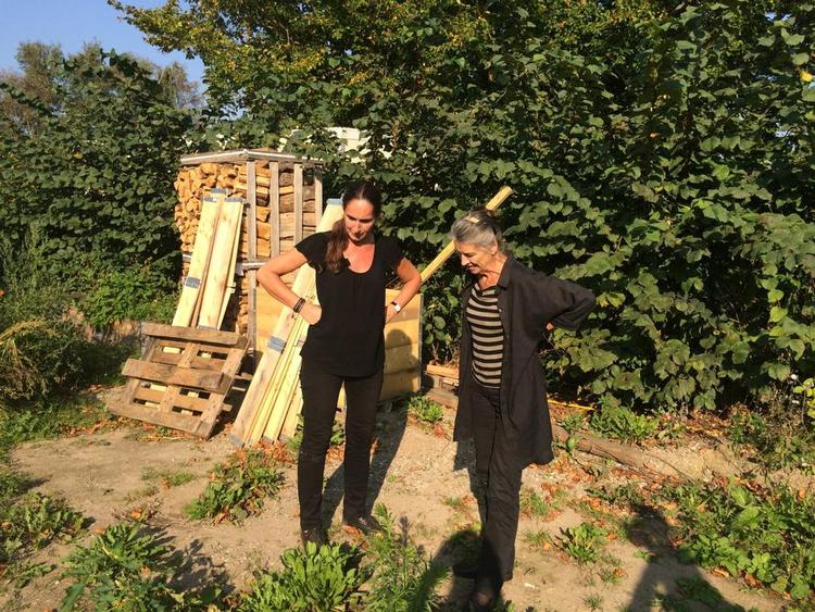 Konsulent. Jeg fik mange fuldkommen indlysende gode råd, da landskabsarkitekt Jane Schul var på besøg. Her hvor byggematerialerne har ligget, skal der anlægges terrasse med genbrugsbelægning. Huset er mit 'lille hus på prærien', og i haven skal der foruden frugt og bær være 'præriebede' med græsser og blomster, der tåler tørke. 