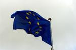 Skepsis. »Vi risikerer, når vi kommer frem til næste europavalg, at der kan ske en forstærkning af den tendens, som vi har set i nogle lande, nemlig at folk i stigende grad bliver skeptiske over for EU«, lyder det fra Christel Schaldemose (S). 