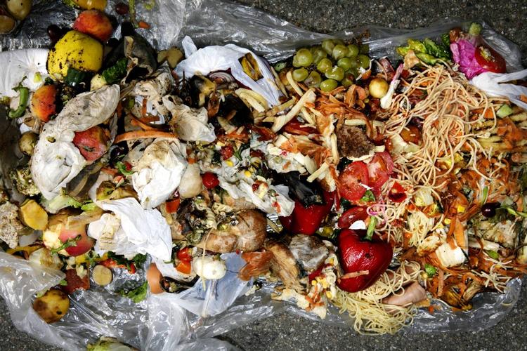 Madspild. Halvdelen af alt den mad der bliver produceret i verden ender i skraldespanden. 