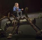 Doppler. Erlend Loes fortælling om manden, der adopterer en kalv  og isolerer sig fra samfundet i Det Kongelige Teater. 