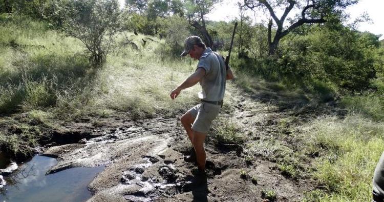 MUDDERBAD. Selv om Clayton Wallis og The Potgieter er erfarne rangers, kan man alligevel som Clayton havne i en gang mudder, der virker som kviksand. 