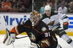 Wild Ducks Hockey