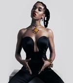 navnemisere. I begyndelsen hed hun bare Twigs. Men grundet rettighedsballade med en anden Twigs, måtte Tahliah Barnett i bedste Prince-stil ændre navn til FKA Twigs - Formerly Known As Twigs. 