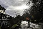 Boligselskaber oplever at banker fastholder opkrævning af lån og kreditter hos borgere, der ikke længere kan betale huslejen. Bankerne tager ikke højde for, hvad folk kan leve for, lydet det fra Den Social Retshjælp. 