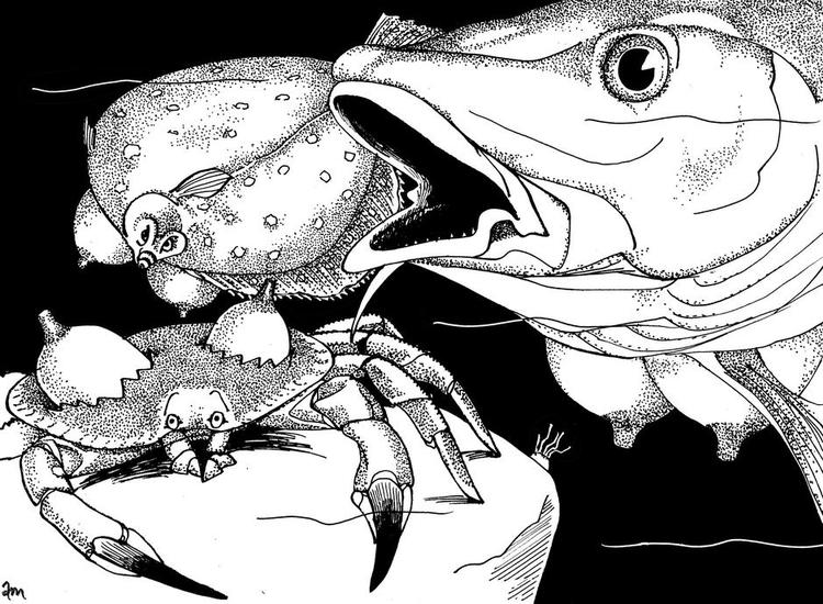 Tegning: Anne-Marie Steen Petersen 