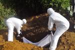 ebola. Sundhedsmedarbejdere lægger liget af en mand, der vurderse at være død som følge af ebola, i en grav i udkanten af Monrovia i Liberia. 