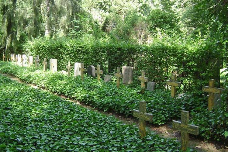 Kors_AæbertJankowski_wiki_w