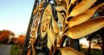 OVERFLOD. Der er gjort rigeligt brug af materialer som guld og marmor i paladset og haven. Foto: Darja Sjalygina 