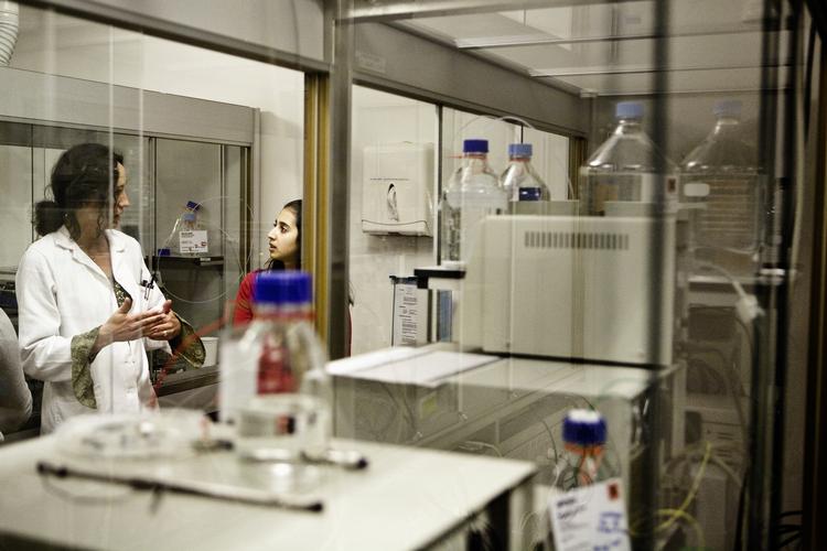 I de første ni måneder af 2013 har Novo Nordisk i runde tal tjent 20 milliarder kroner efter skat, en stigning på 4 procent fra året før. 