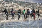 Migranter. Migranter sidder på toppen af et hegn, som adskiller Marokko og den spanske enklave Melilla i Nordafrika. 