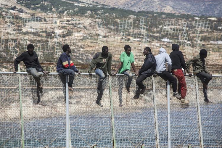 Migranter. Migranter sidder på toppen af et hegn, som adskiller Marokko og den spanske enklave Melilla i Nordafrika. 