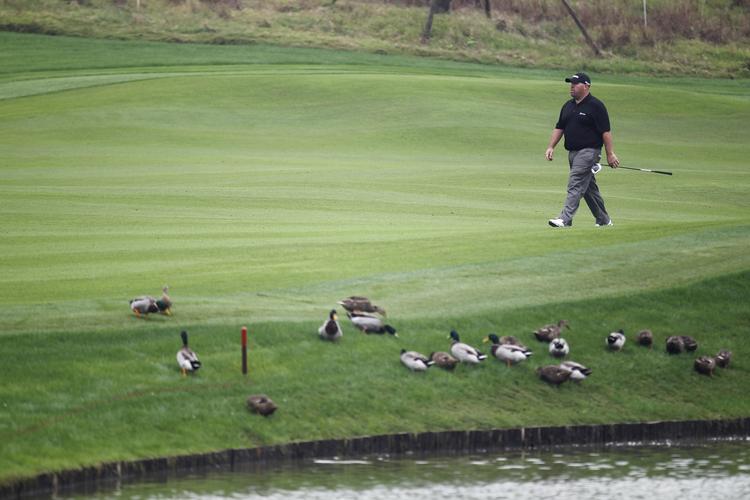 BIRDIE. Golfspillerne vælter rundt i fugleudtryk, når de laver birdies og eagles, men amerikaneren Kevin Stadler mødte også en del ænder på sin anden runde i 73 slag i Shanghai i dag. 