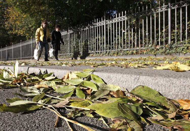 EFTERÅR. Den første del af ugen bliver den mest grå. Men efterhånden som vi nærmer os fredag, bliver vejret en smule pænere, såfremt man foretrækker sol, lyder det fra DMI. 