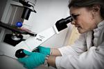REGNSKAB. Analytikerne havde forventet, at Lundbeck kunne få et overskud på 98 millioner kroner. 