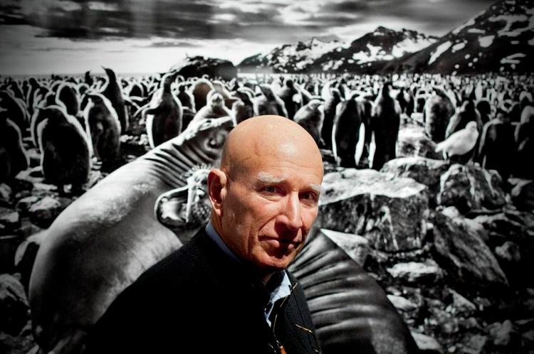 Berørt. Efter at han i årevis har fotograferet verdens brutaliteter, har det sat sit præg på Sebastião Salgado, som i dag ikke kan se nogen grund til, at man skulle ofre sit liv for menneskeheden. Her står han foran et af sine egne fotografier fra udstillingen 'Genesis', hvor han har besøgt klodens få tilbageværende steder, hvor civilisationen ikke har gjort sit indtog, og foreviget de dyr og de få mennesker, der bor der. 