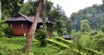 tropisk. Elefantturisme og bæredygtighed går hånd i hånd på Chang Thai Resort, der putter sig i junglens dampende løv. 