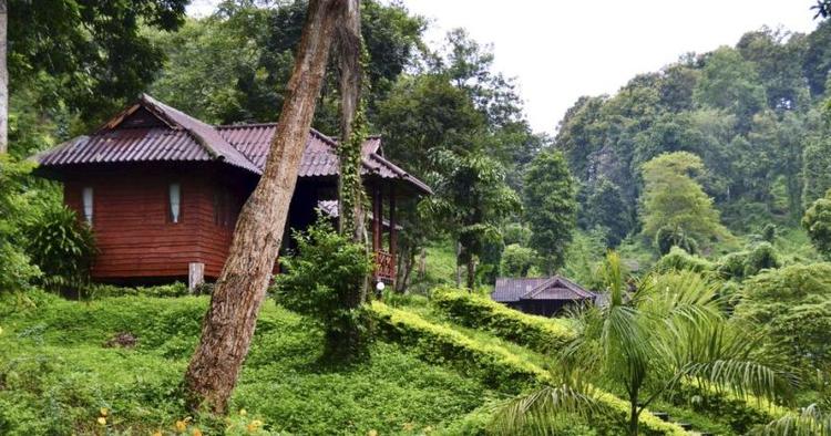 tropisk. Elefantturisme og bæredygtighed går hånd i hånd på Chang Thai Resort, der putter sig i junglens dampende løv. 