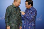 Ruslands Vladimir Putin og Vietnams præsident Truong Tan Sang på  Bali i Indonesia i 2013. 