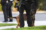 White House Fence Jumper