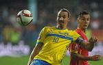 Montenegro Sweden Euro Soccer