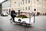 Pedalkraft. Bededame Sille Kongstad på vej til krematoriet i Sundby på sin specialbyggede rustvogncykel efter en ceremoni i Vor Frelser Kirke i sidste uge. 