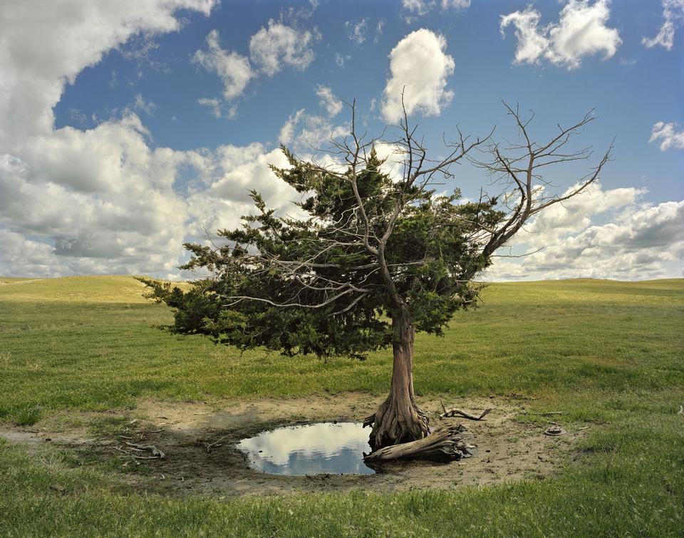 © Andrew Moore, courtesy of the artist and Yancey Richardson