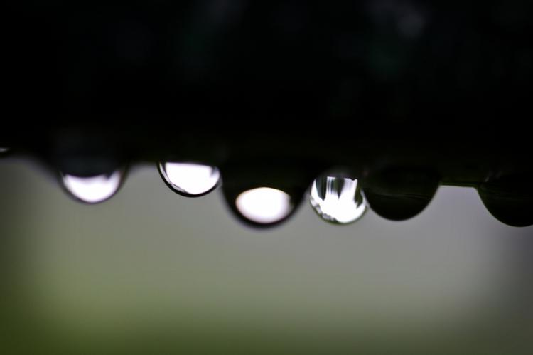 Tendens. Vinteren er stadig langt væk. Vejret er lunt for årstiden og præget af regn og ikke sne. 