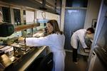 Analytiker forudser, at Lundbeck snart vil komme tilbage på sporet, efter at den administrerende direktør for kort tid siden fratrådte med øjeblikkelig virkning. 