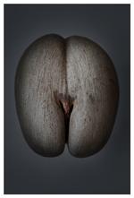 Coco de mer