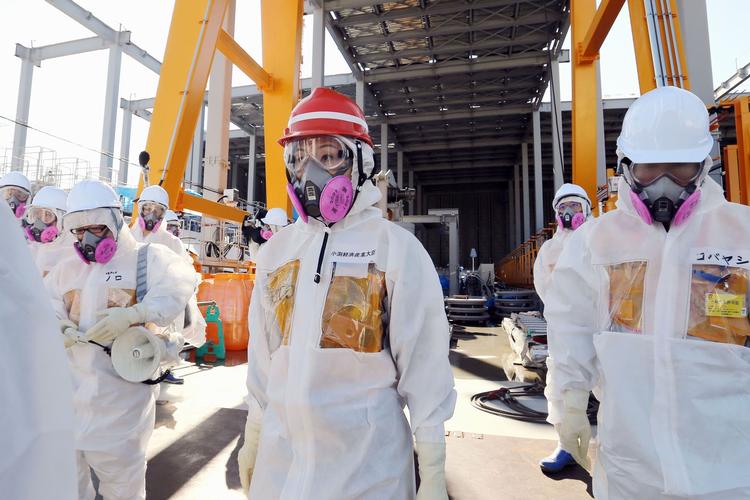 Japan Nuclear