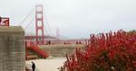Attraktiv. Golden Gate-broen ved San Francisco er med til at gøre byen populær. Det mærkes på hotelpriserne. Foto: Allan Graubæk 
