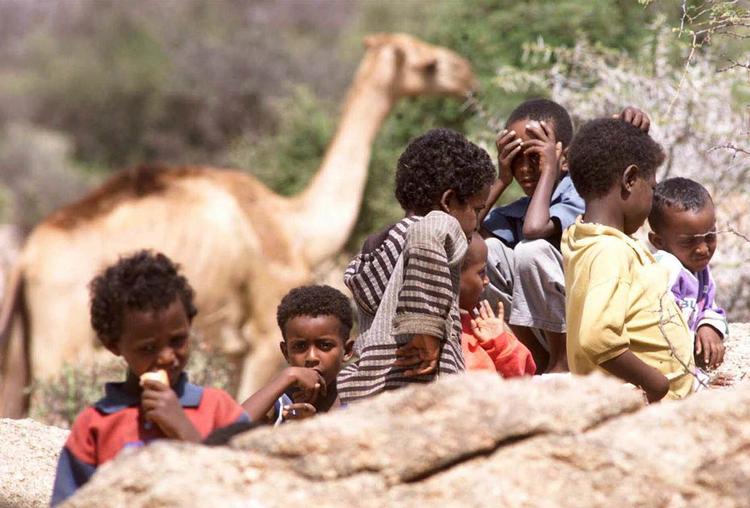 FLYGTNINGE. Sammen med Syrien er Eritrea det land, hvorfra der i øjeblikket kommer flest flygtninge til Danmark. 
