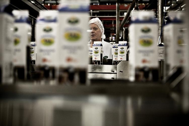 Arla dropper at købe egyptisk mejeri, men det har ingen sammenhæng med skyderiet mod en Arla-ansat i Saudi-Arabien, siger virksomheden. 