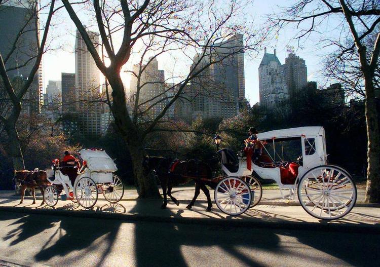 Køretur. Det koster i omegnen af 1.200 kroner for en 'romantisk tur' rundt i Central Park med hestevogn. Men hvis det står til byens borgmester skal hestevogne forbydes i New York. 
