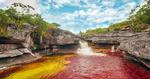 FARVEEKSPLOSION. Fra september til november 'blomstrer' floden Cano Cristales i Colombia, når vandstanden falder og solens stråler rammer alger og andre vækster, der gror på bunden af floden. 