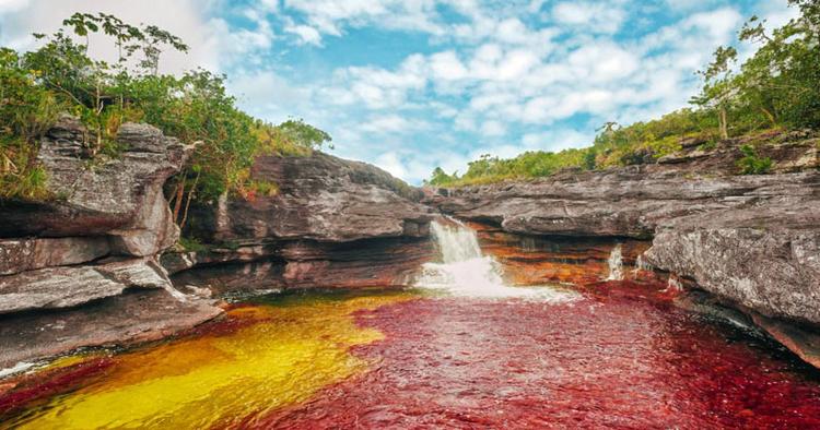 FARVEEKSPLOSION. Fra september til november 'blomstrer' floden Cano Cristales i Colombia, når vandstanden falder og solens stråler rammer alger og andre vækster, der gror på bunden af floden. 