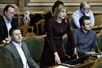 ANMELDT. Trine Bramsen risikerer i princippet op til fire måneders fængsel, hvis hun skulle blive dømt for at forsøge at påvirke dommeren i Sam Mansour-sagen. 