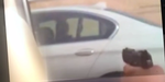 newPic_1080.PNG