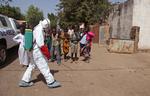 Renset. Mali mener nu selv at være fri for den frygtede ebola-sygdom. 