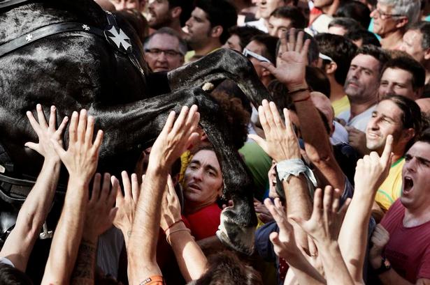 Tilskuerne frygter ikke hestenes nærvær. Foto: Tine Harden 