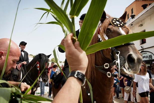 Tilskuerne kommer helt tæt på hestene. Foto: Tine Harden 