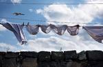 Tørretid. Snart kan vaskemaskinen selv fortælle, at det er tid til at hænge tøj til tørre. Arkivfoto: Camilla Stephan 