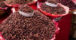 Snack. Græshopper bruges både som fyld og som snacks og er en delikatesse visse steder i Mexico. 